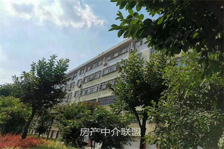 紧邻佛山小学佛山中学弘盛新城国际南北通透送储藏室